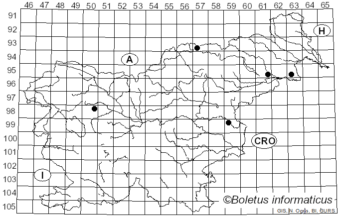 <i>Hypoxylon eurasiaticum</i> Pourmoghaddam, Krisai & Khodap. (2021)