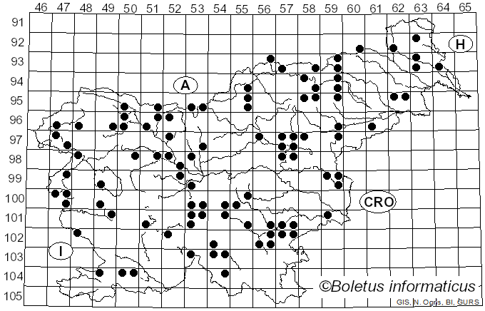 <i>Bolbitius titubans</i> (Bull.) Fr. (1838)