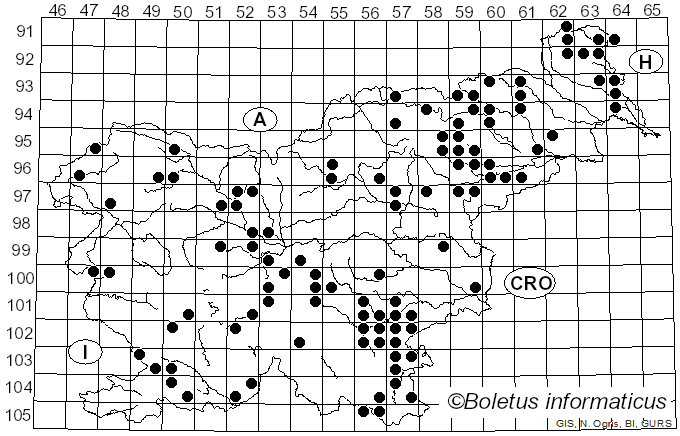 <i>Hymenopellis</i> R.H. Petersen (2010)