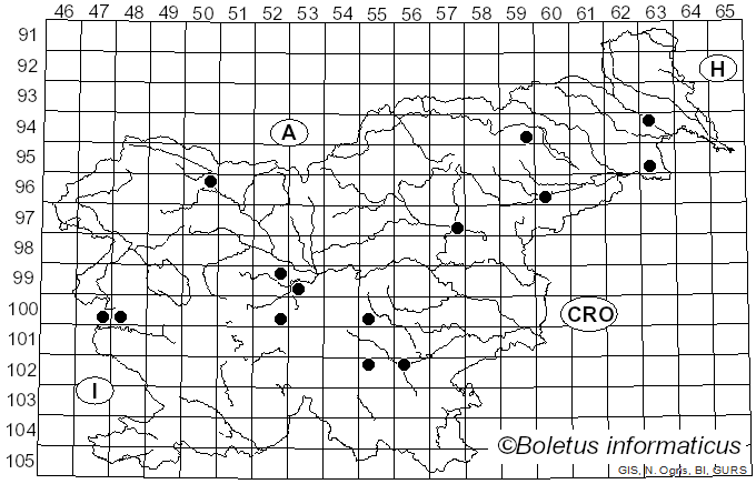 <i>Diatrypella quercina</i> (Pers.) Cooke (1866)