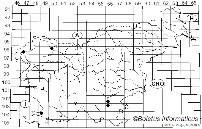 <i>Geoscypha</i> (Cooke) Lambotte (1887)