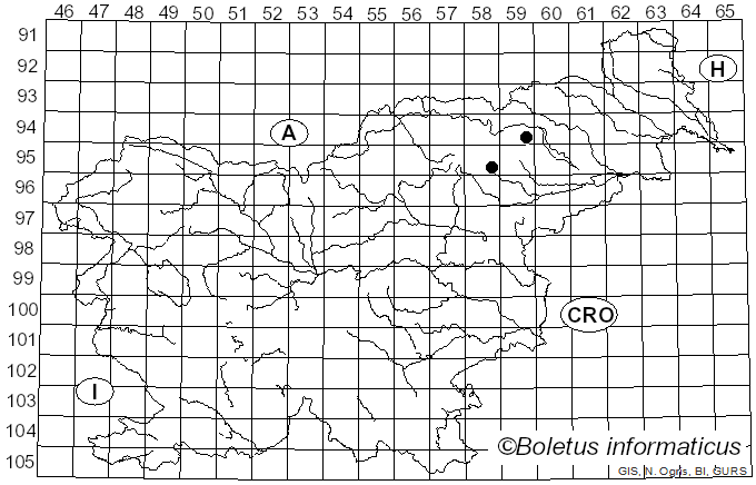 <i>Stropharia aurantiaca</i> (Cooke) M. Imai (1938)