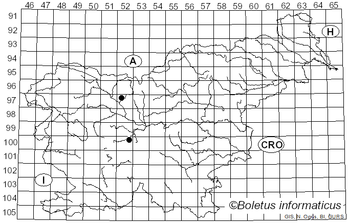 <i>Pyrophaena rosarum</i> Fabricius (1787)
