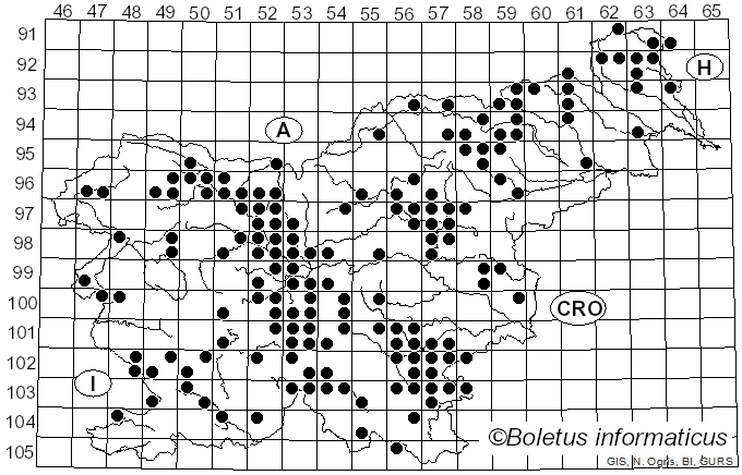 <i>Agaricus sylvaticus</i> Schaeff. (1774)