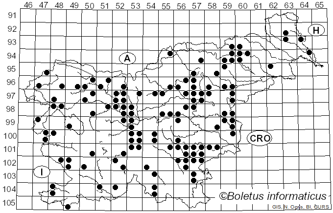 <i>Clavariadelphus pistillaris</i> (L.) Donk (1933)