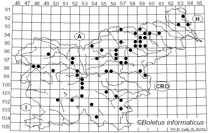 <i>Ramaria flavigelatinosa</i> Marr & D.E. Stuntz (1974)