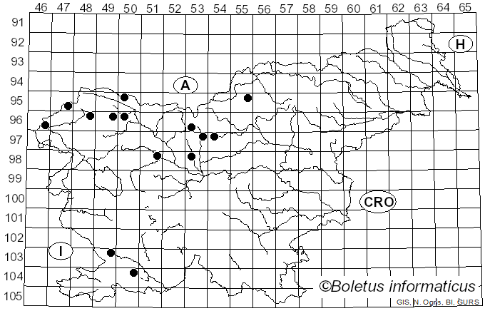 <i>Diderma</i> Pers. (1794)