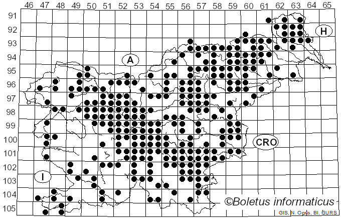 <i>Xerocomus</i> Quél. (1887)