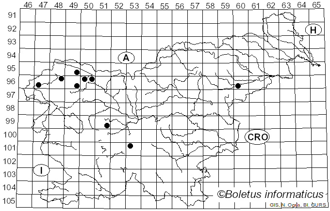 <i>Cosmospora</i> Rabenh. (1862)