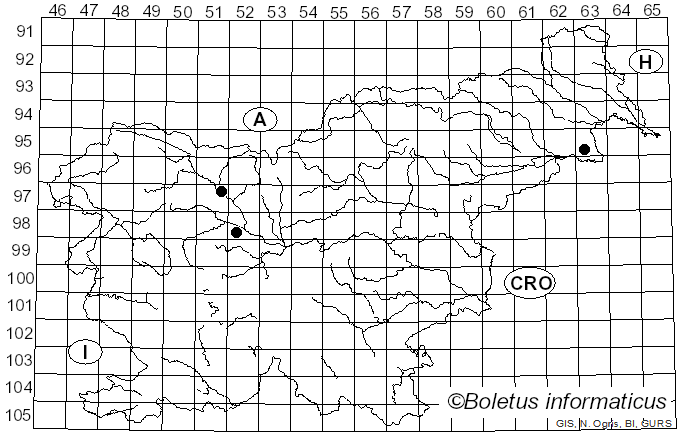 <i>Cheirospora botryospora</i> (Mont.) Berk. & Broome (1850)