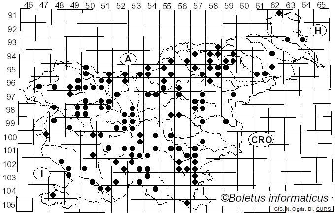 <i>Lactarius picinus</i> Fr. (1838)