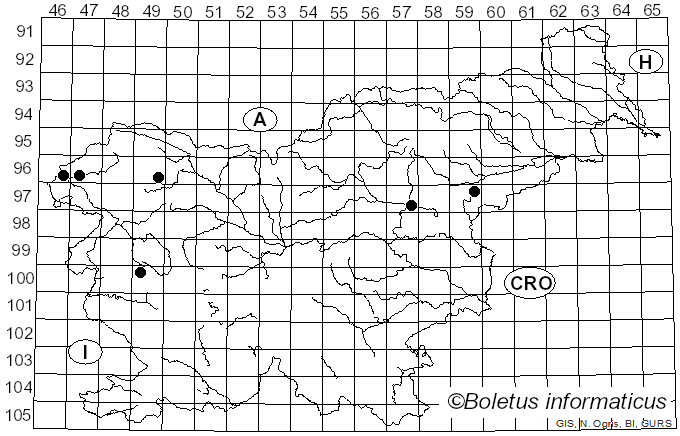 <i>Hymenoscyphus serotinus</i> (Pers.) W. Phillips (1887)