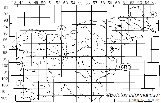 <i>Cryptococcus fagisuga</i> Lindinger (1936)