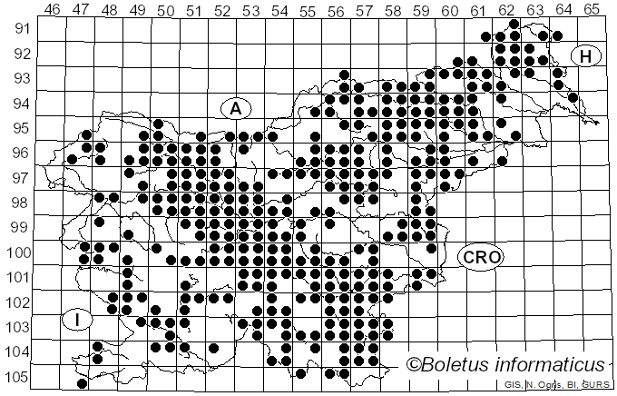 <i>Hypholoma</i> (Fr.) P. Kumm. (1871)