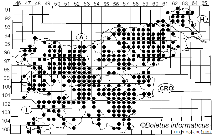 <i>Lycoperdon</i> Pers. (1801)