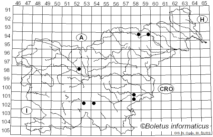<i>Hapalopilus croceus</i> (Pers.) Donk (1933)