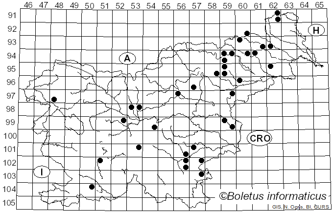<i>Coprinellus silvaticus</i> (Peck) Gminder (2010)