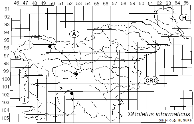 <i>Coccomyces coronatus</i> (Schumach.) De Not. (1859)