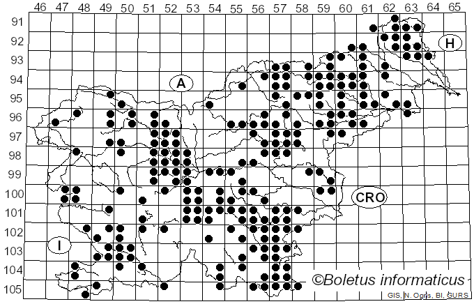 <i>Daedaleopsis confragosa</i> (Bolton) J. Schröt. (1888)