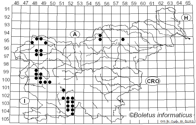 <i>Lepraria rigidula</i> (B. de Lesd.) Tønsberg (1992)