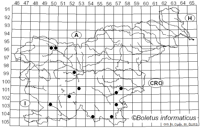 <i>Pseudoinonotus</i> T. Wagner & M. Fisch. (2001)