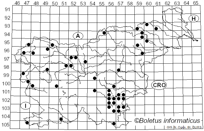 <i>Inosperma</i> (Kühner) Matheny & Esteve-Rav. (2019)