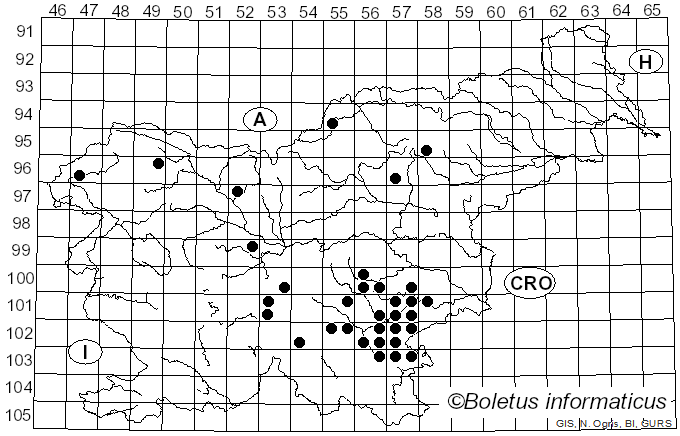 <i>Russula pseudoromellii</i> J. Blum (1955)