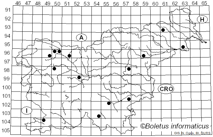 <i>Botryobasidium</i> Donk (1931)