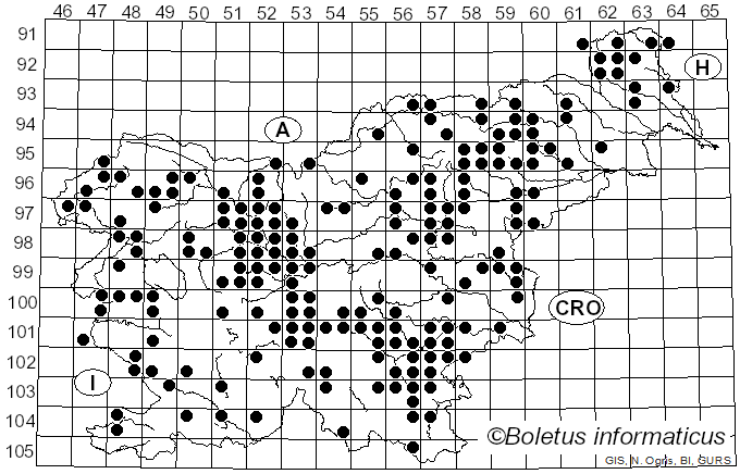 <i>Stropharia</i> (Fr.) Quél. (1872)