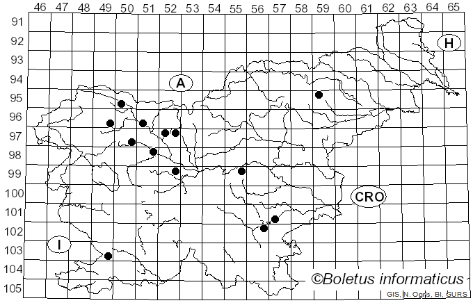 <i>Mensularia</i> Lázaro Ibiza (1916)