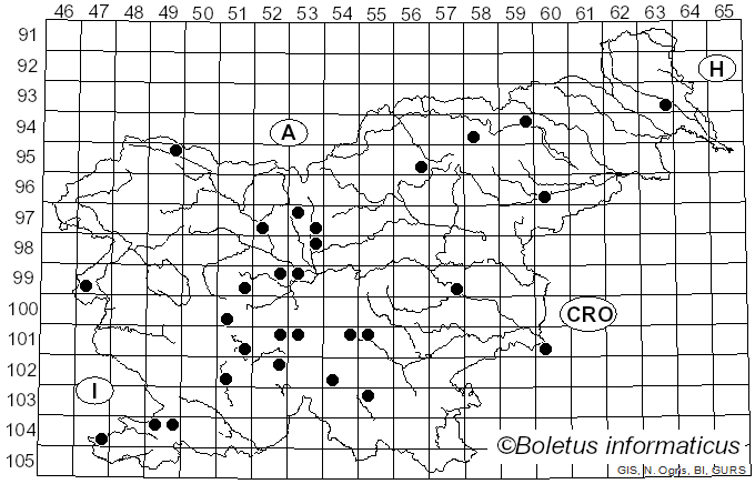 <i>Fusarium</i> Link (1809)