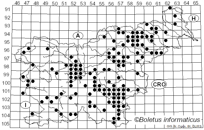 <i>Russula risigallina</i> (Batsch) Sacc. (1915)