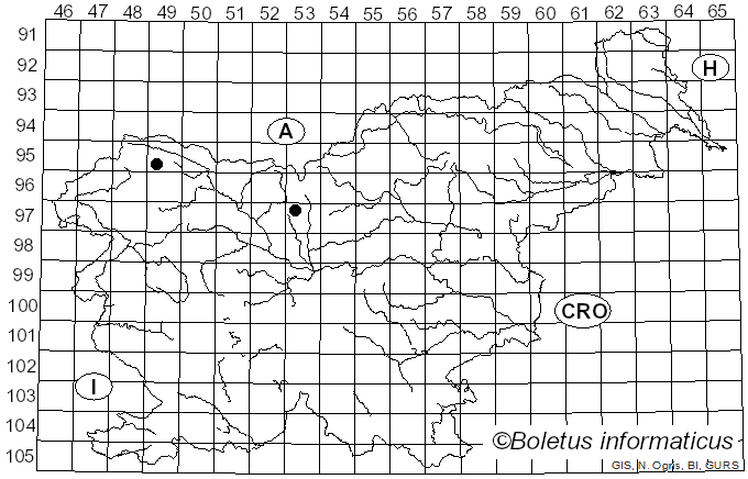 <i>Trachyspora intrusa</i> (Grev.) Arthur (1934)