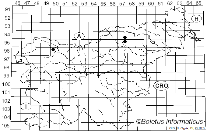 <i>Scoliciosporum sarothamni</i> (Vain.) Vezda (1978)