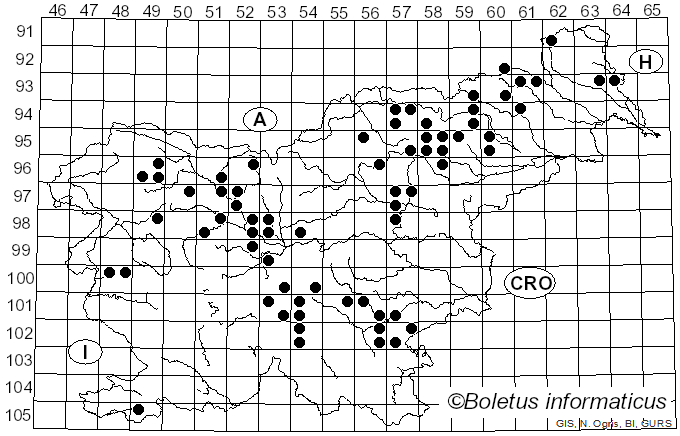 <i>Pholiota flammans</i> (Batsch) P. Kumm. (1871)