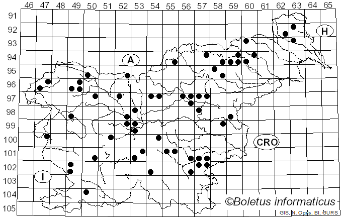 <i>Legaliana badia</i> (Pers.) Van Vooren (2020)