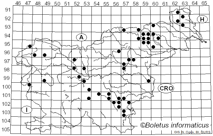 <i>Mycena vulgaris</i> (Pers.) P. Kumm. (1871)
