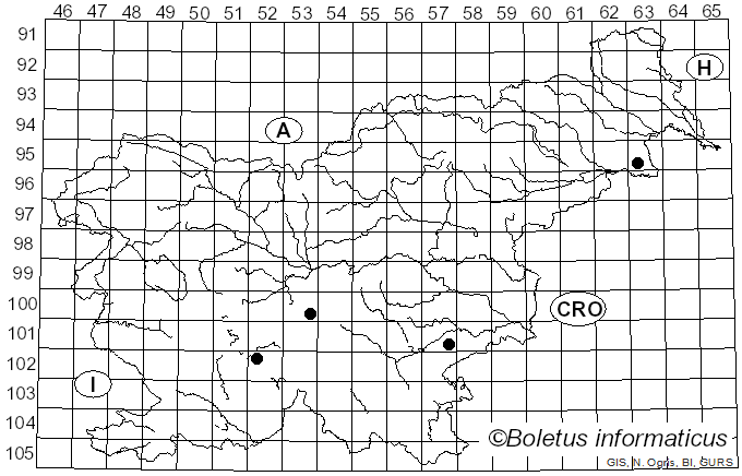 <i>Atheliachaete sanguinea</i> (Fr.) Spirin & Zmitr. (2011)
