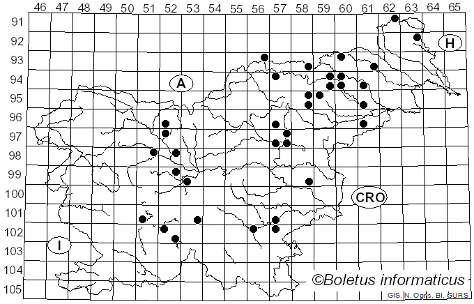 <i>Hydnellum glaucopus</i> (Maas Geest. & Nannf.) E. Larss., K.H. Larss. & Kõljalg (2019)