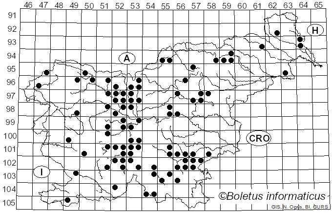 <i>Calocybe gambosa</i> (Fr.) Donk (1962)