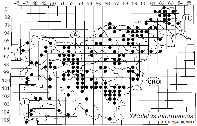 <i>Tricholoma sciodes</i> (Pers.) C. Martín (1919)
