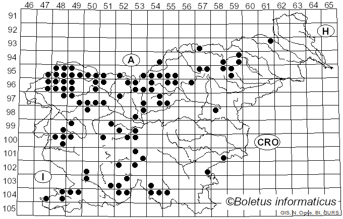 <i>Monochamus</i> Dejean (1821)