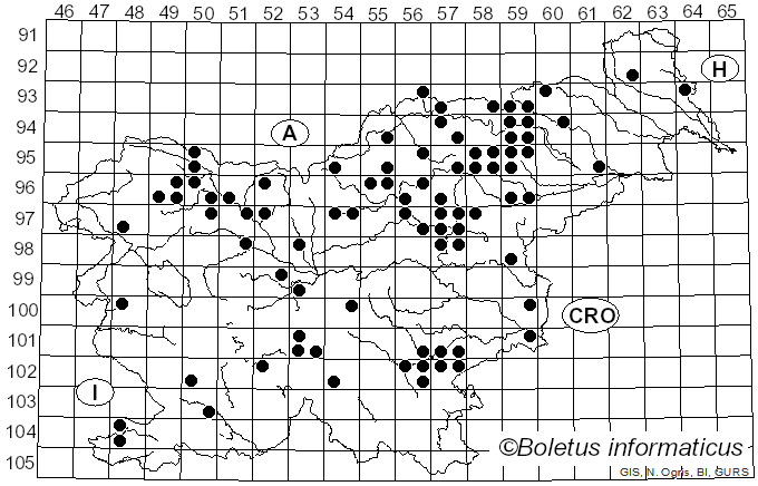 <i>Russula paludosa</i> Britzelm. (1891)