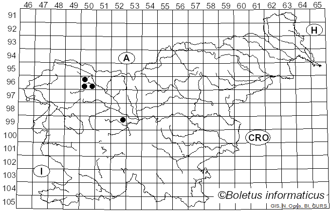 <i>Byssostilbe stilbigera</i> (Berk. & Broome) Petch (1912)