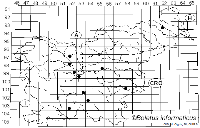 <i>Ditiola peziziformis</i> (Lév.) D.A. Reid (1974)