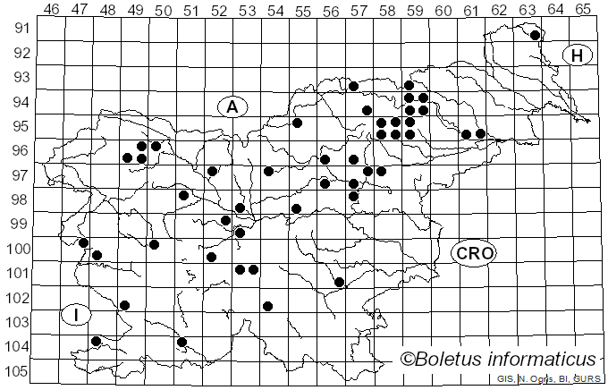 <i>Lactarius helvus</i> (Fr.) Fr. (1838)