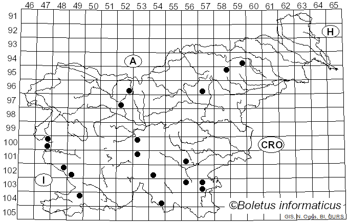 <i>Oudemansiella melanotricha</i> (Dörfelt) M.M. Moser (1983)