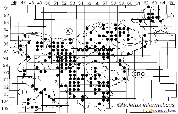 <i>Craterellus lutescens</i> (Fr.) Fr. (1838)