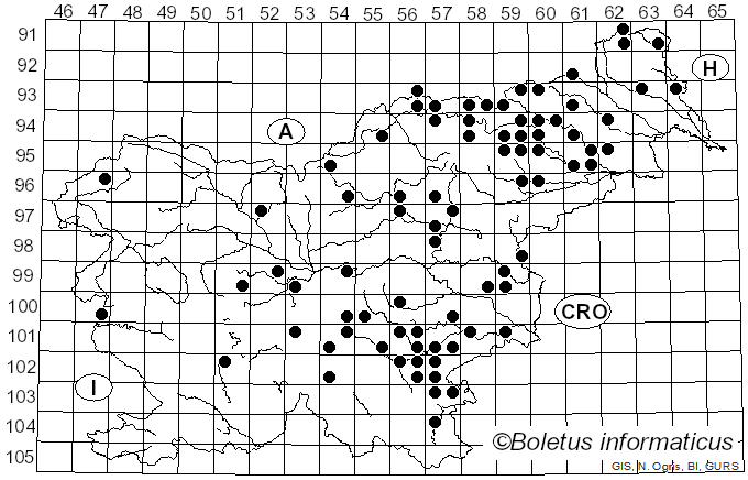 <i>Russula amoenolens</i> Romagn. (1952)