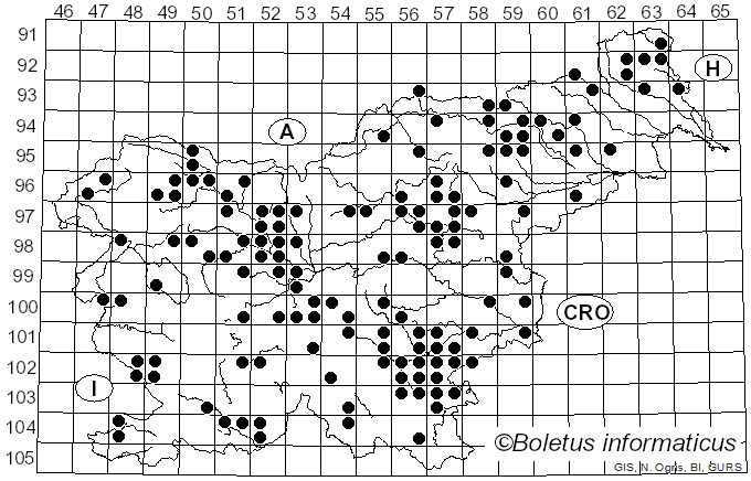 <i>Ramaria aurea</i> (Schaeff.) Quél. (1888)